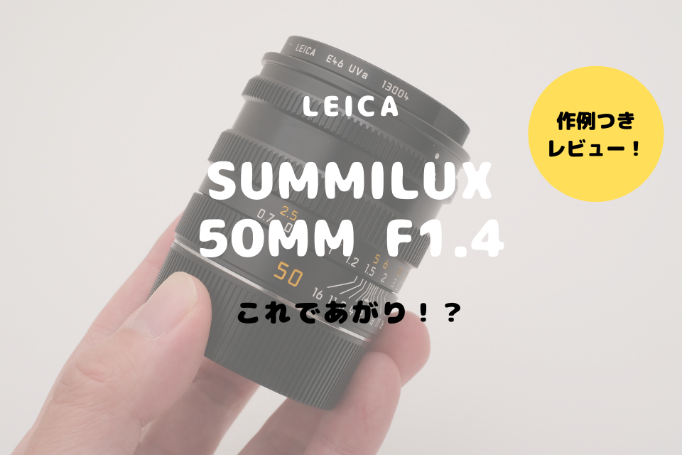 Leica SUMMILUX 50mm F1.4レビュー！王道と呼ぶにふさわしいキングオブ 